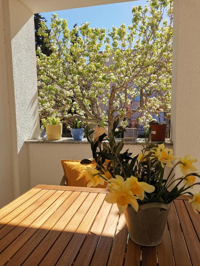 Apartman Soto Pirovac Zewnętrze zdjęcie