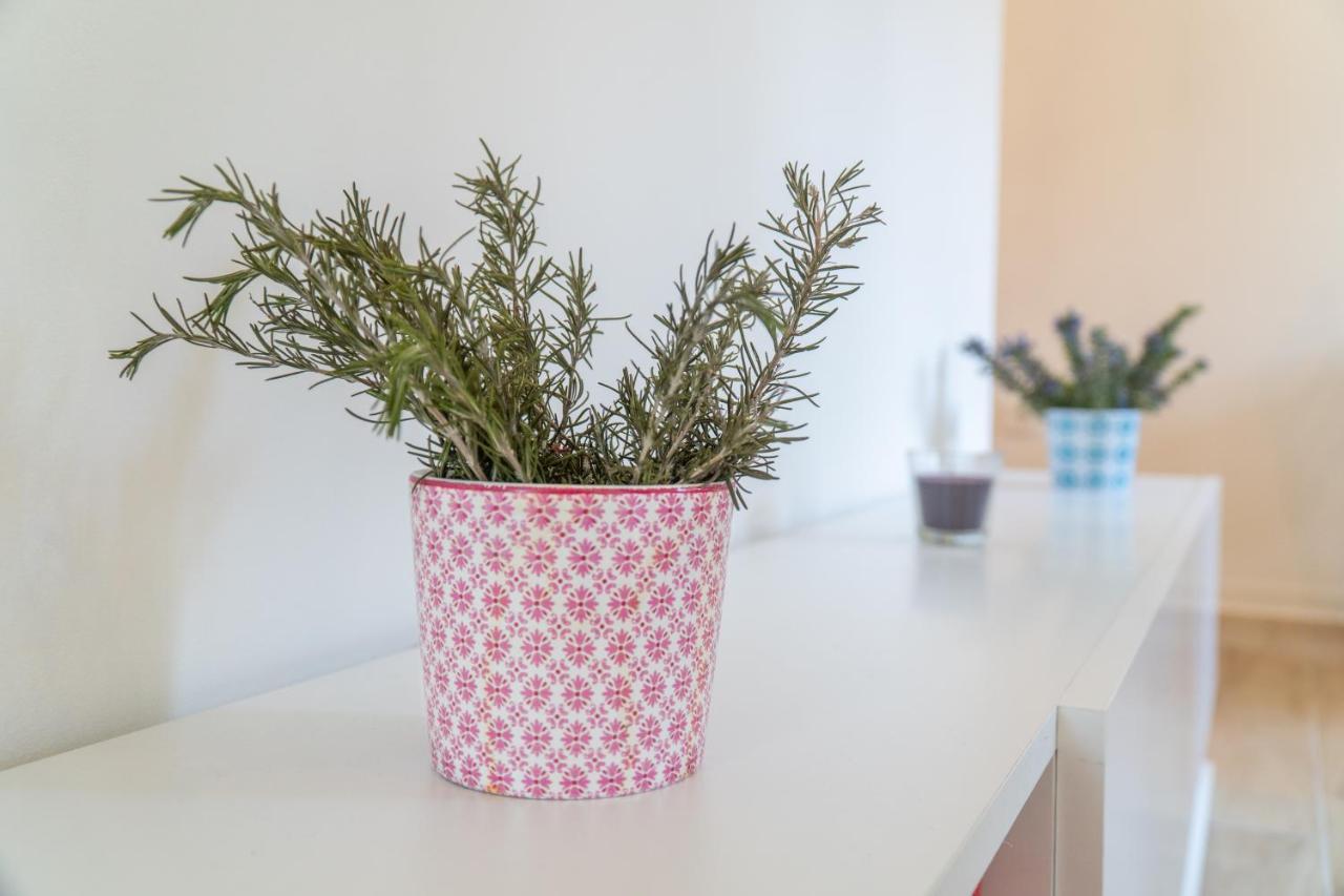 Apartman Soto Pirovac Zewnętrze zdjęcie